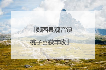 郧西县观音镇桃子喜获丰收