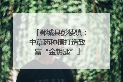 鄄城县彭楼镇：中草药种植打造致富“金钥匙”