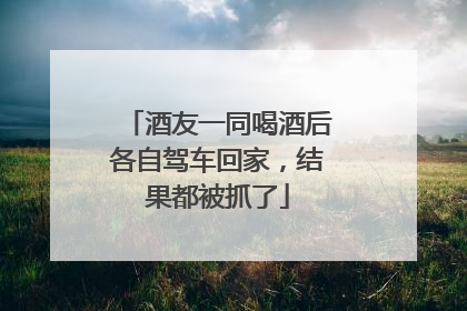 酒友一同喝酒后各自驾车回家，结果都被抓了