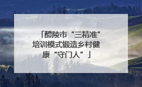 醴陵市“三精准”培训模式锻造乡村健康“守门人”