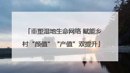 重塑湿地生命网络 赋能乡村“颜值”“产值”双提升