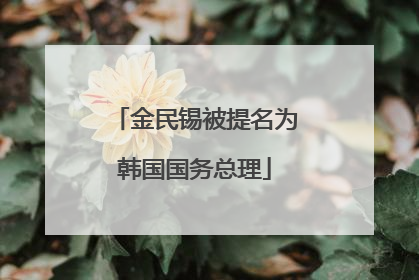 金民锡被提名为韩国国务总理