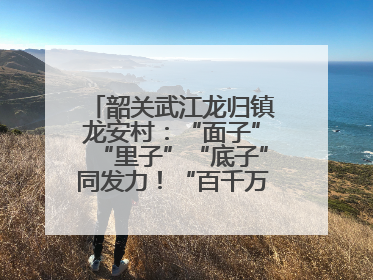 韶关武江龙归镇龙安村：“面子”“里子”“底子”同发力！“百千万工程”激活乡村新动能