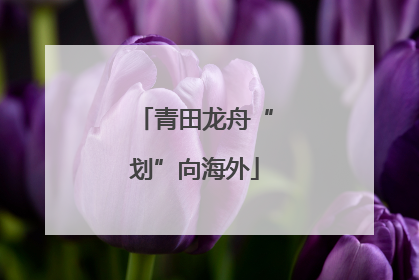 青田龙舟“划”向海外
