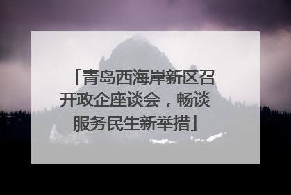 青岛西海岸新区召开政企座谈会，畅谈服务民生新举措