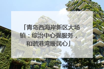 青岛西海岸新区大场镇：综治中心强服务，和谐港湾暖民心