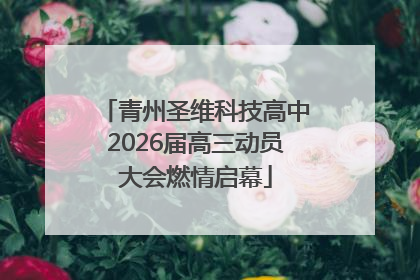 青州圣维科技高中2026届高三动员大会燃情启幕