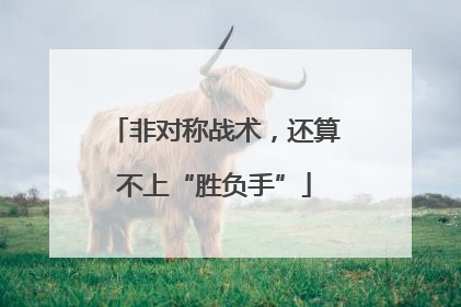 非对称战术，还算不上“胜负手”