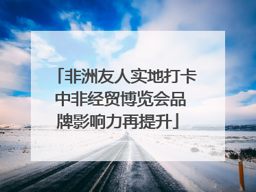 非洲友人实地打卡 中非经贸博览会品牌影响力再提升