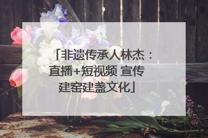 非遗传承人林杰：直播+短视频 宣传建窑建盏文化