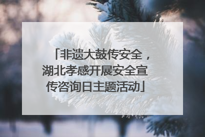 非遗大鼓传安全，湖北孝感开展安全宣传咨询日主题活动
