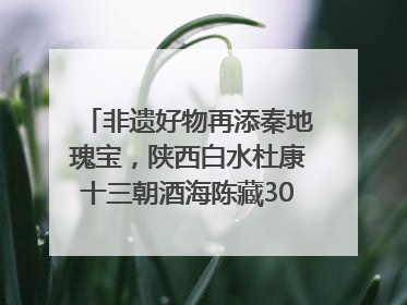 非遗好物再添秦地瑰宝，陕西白水杜康十三朝酒海陈藏30年别具一格