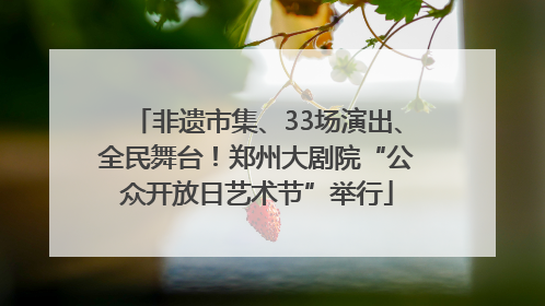 非遗市集、33场演出、全民舞台！郑州大剧院“公众开放日艺术节”举行