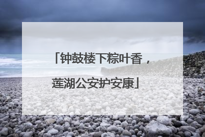 钟鼓楼下粽叶香，莲湖公安护安康