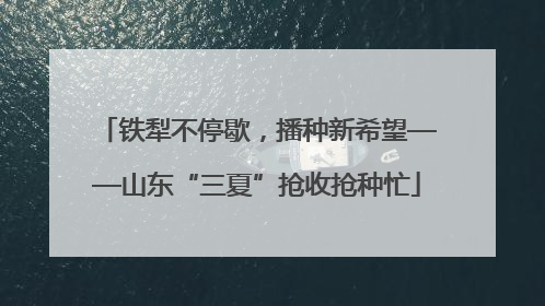 铁犁不停歇，播种新希望——山东“三夏”抢收抢种忙
