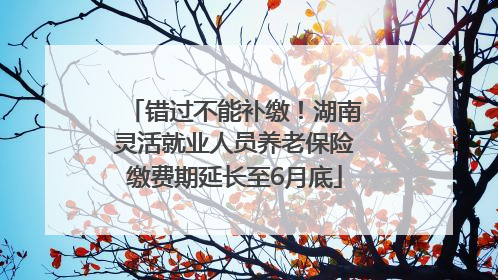 错过不能补缴！湖南灵活就业人员养老保险缴费期延长至6月底