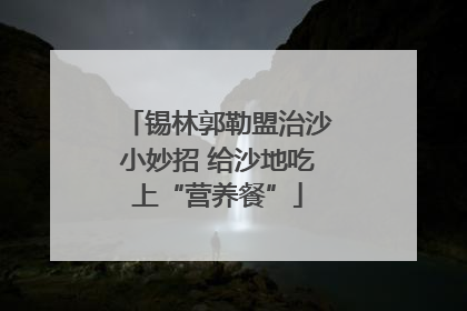 锡林郭勒盟治沙小妙招 给沙地吃上“营养餐”