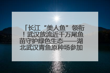 长江“美人鱼”领衔！武汉放流近千万尾鱼苗守护绿色生态——湖北武汉青鱼原种场参加2025年“全国放鱼日”增殖放流活动