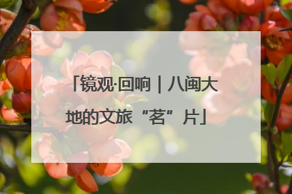 镜观·回响｜八闽大地的文旅“茗”片