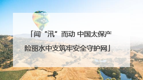 闻“汛”而动 中国太保产险丽水中支筑牢安全守护网