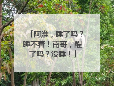 阿淮,睡了吗?睡不着!南哥,醒了吗?没睡!
