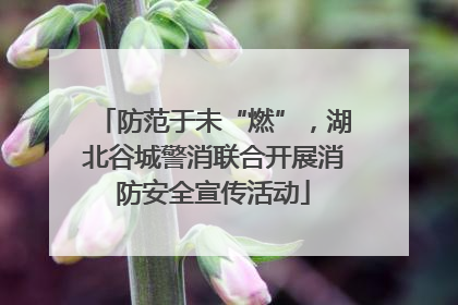 防范于未“燃”，湖北谷城警消联合开展消防安全宣传活动