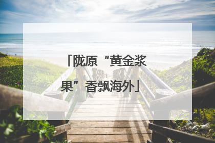 陇原“黄金浆果”香飘海外