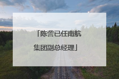 陈詟已任南航集团副总经理