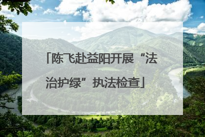 陈飞赴益阳开展“法治护绿”执法检查