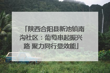 陕西合阳县新池镇南沟社区：葡萄串起振兴路 聚力同行显效能