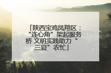 陕西宝鸡凤翔区：“连心角”架起服务桥 文明实践助力“三夏”农忙