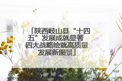 陕西岐山县“十四五”发展成就显著 四大战略绘就高质量发展新图景