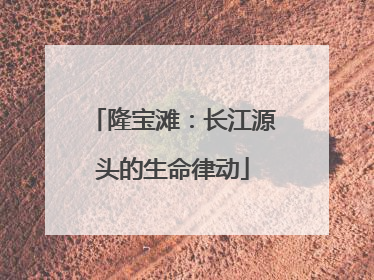 隆宝滩：长江源头的生命律动