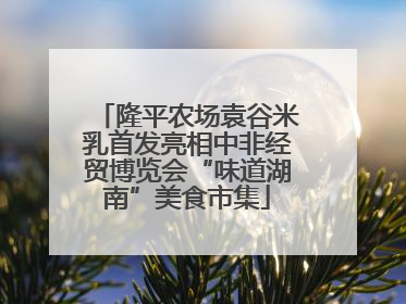 隆平农场袁谷米乳首发亮相中非经贸博览会“味道湖南”美食市集