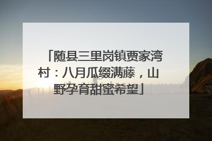 随县三里岗镇贾家湾村：八月瓜缀满藤，山野孕育甜蜜希望