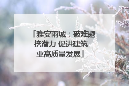 雅安雨城：破难题 挖潜力 促进建筑业高质量发展