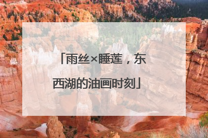 雨丝×睡莲，东西湖的油画时刻