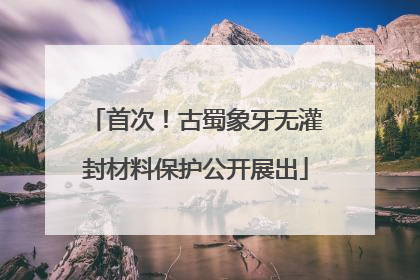 首次！古蜀象牙无灌封材料保护公开展出
