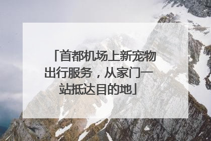 首都机场上新宠物出行服务，从家门一站抵达目的地