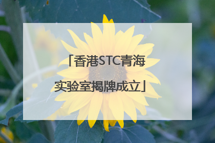 香港STC青海实验室揭牌成立