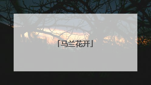 马兰花开