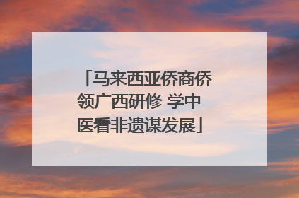 马来西亚侨商侨领广西研修 学中医看非遗谋发展