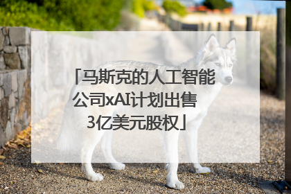 马斯克的人工智能公司xAI计划出售3亿美元股权