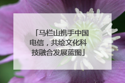 马栏山携手中国电信，共绘文化科技融合发展蓝图