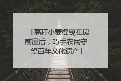 高秆小麦摇曳在房前屋后，巧手农民守望百年文化遗产
