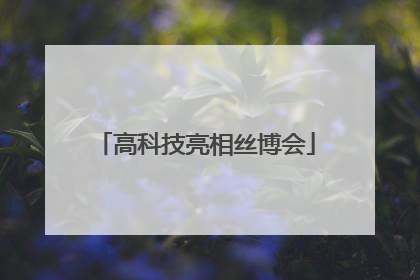 高科技亮相丝博会