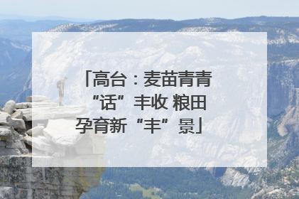 高台：麦苗青青“话”丰收 粮田孕育新“丰”景