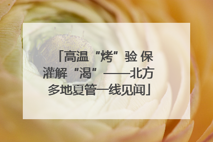 高温“烤”验 保灌解“渴”——北方多地夏管一线见闻