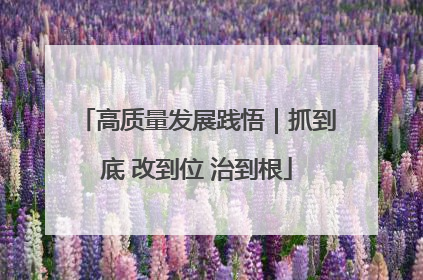 高质量发展践悟｜抓到底 改到位 治到根