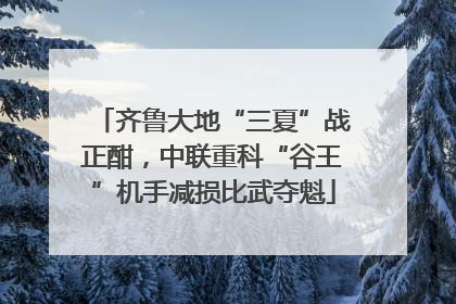 齐鲁大地“三夏”战正酣，中联重科“谷王”机手减损比武夺魁
